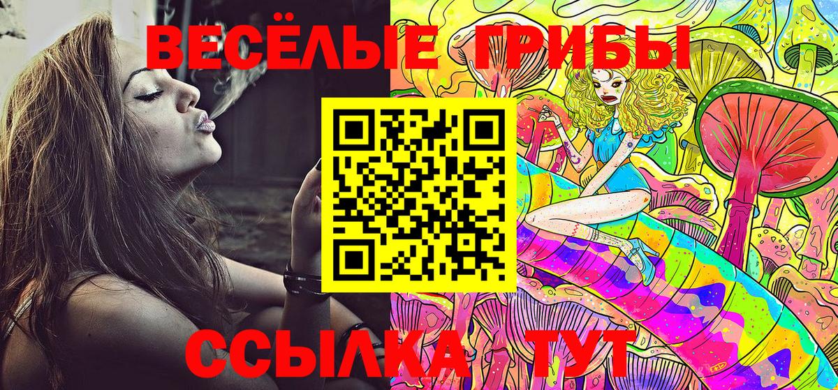 Псилоцибиновые грибы Psilocybine cubensis  Вход с VPN  Кудымкар  Псилоцибиновые грибы Psilocybine cubensis 