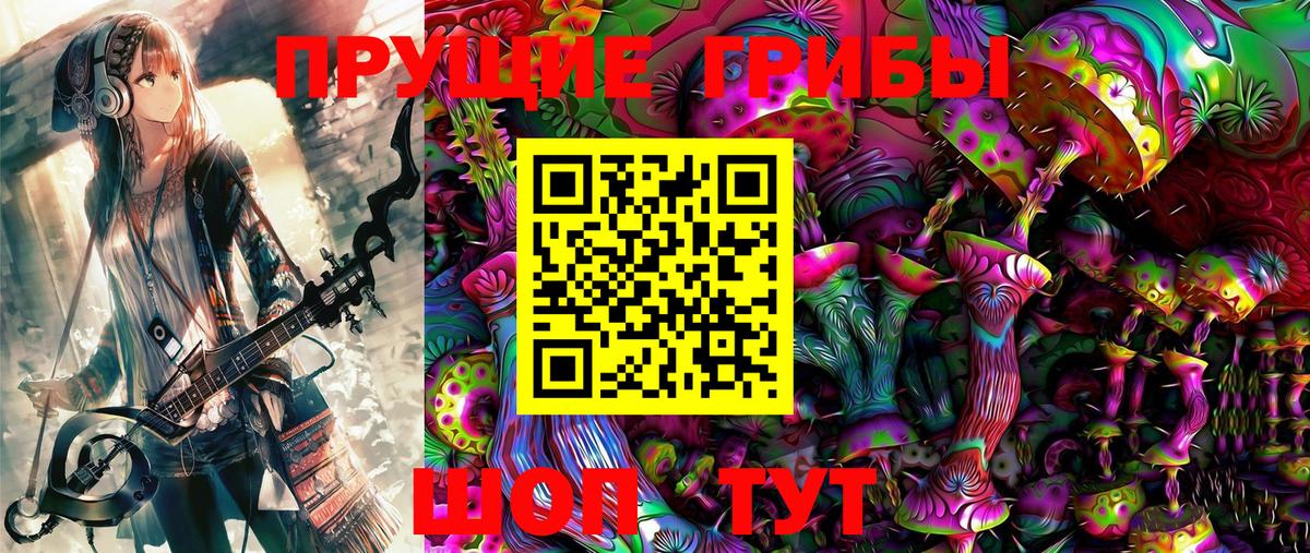 Галлюциногенные грибы Cubensis Кудымкар